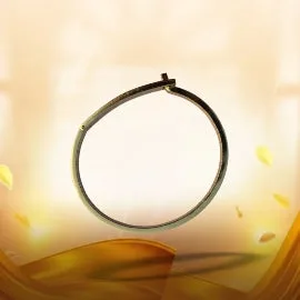 Shri Kashtbhanjan Dev Bracelet – Spiritual Protection Kada