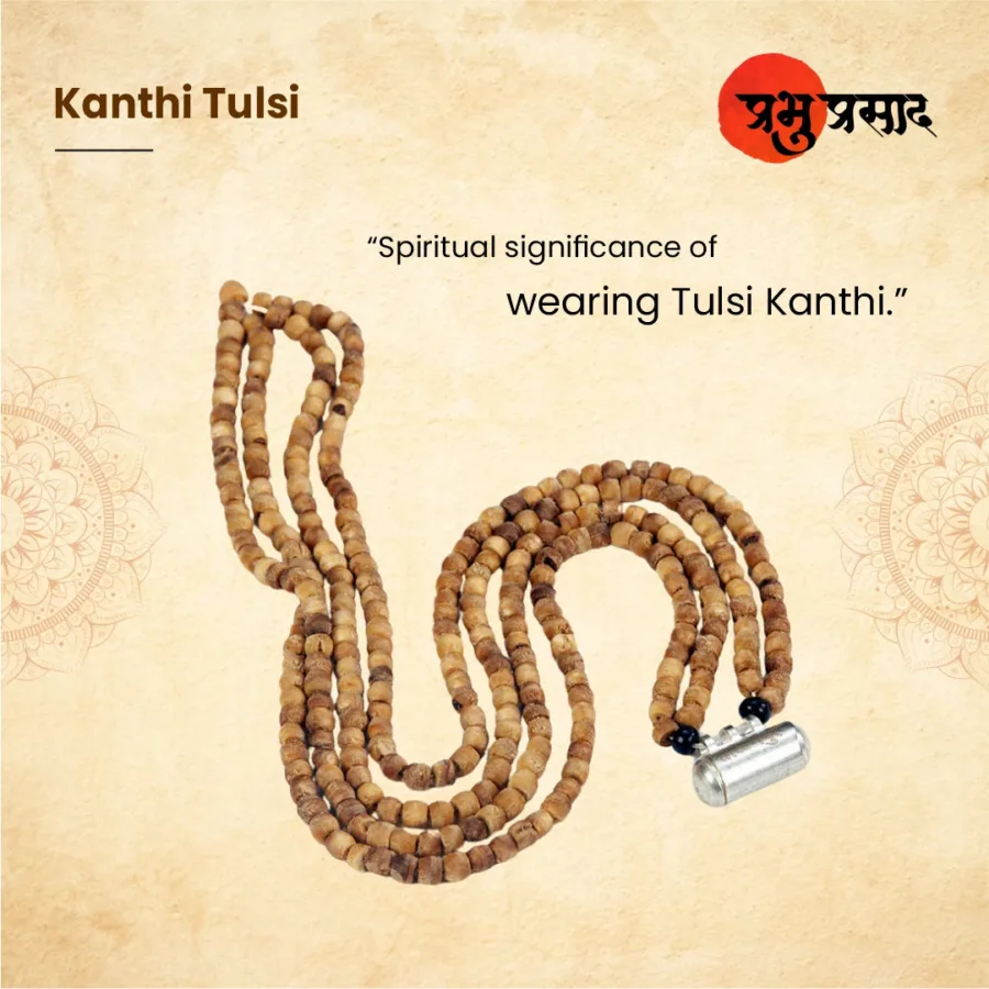 Kanthi Tulsi - 9 - 5.5Gm