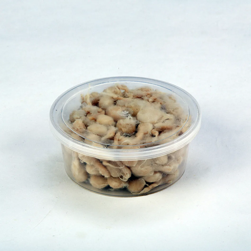 Diya Weight- 2X4 - 200Gm